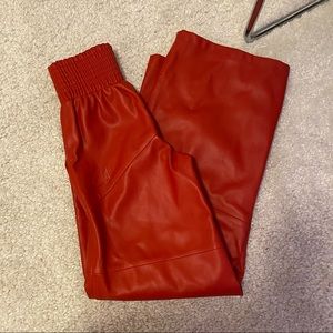 i am gia red vegan leather pants